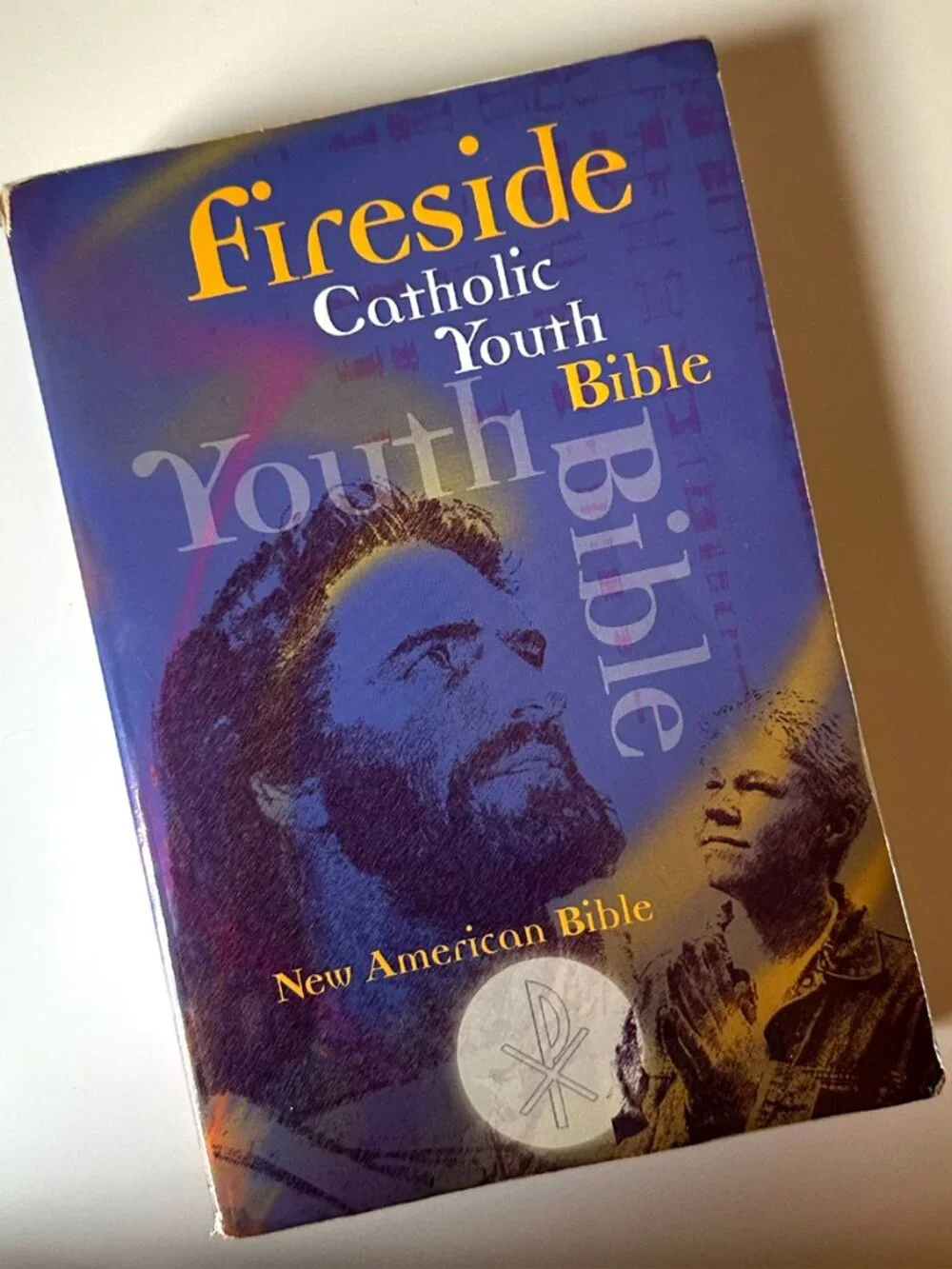 Catholic Youth Bible NAB New American Bible Fireside Softcover 2004